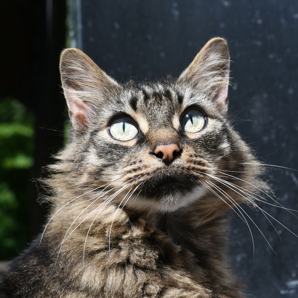 Meet your Posher, Ellie